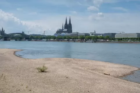 Niedrigwasser bei Flüssen hängt auch mit einem sinkenden Grundwasserspiegel zusammen. Das Foto zeigt den Rhein bei Köln. 