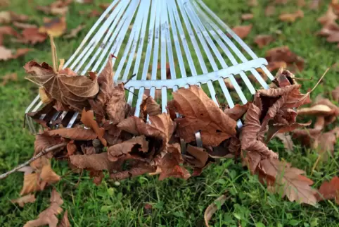 Wer hilft bei der Gartenarbeit? In einer Ehrenamtsbörse könnten solche Hilfsgesuche künftig veröffentlicht werden. 