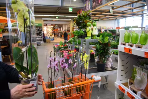 Auch die höhere Nachfrage beim Gartensortiment hat zum guten Auftakt des Geschäftsjahres bei Hornbach beigetragen. 