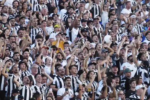 Ihnen gefällts: Die Fans von Botafogo aus Rio feiern den Triumph über Champions-League-Sieger Paris Saint-Germain.