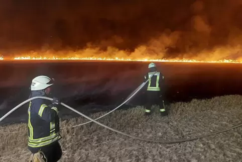 Die Einsätze nehmen zu: Die Feuerwehren müssen mehr Aufgaben bewältigen, weshalb die VG plant, einen hauptamtlichen Wehrleiter e