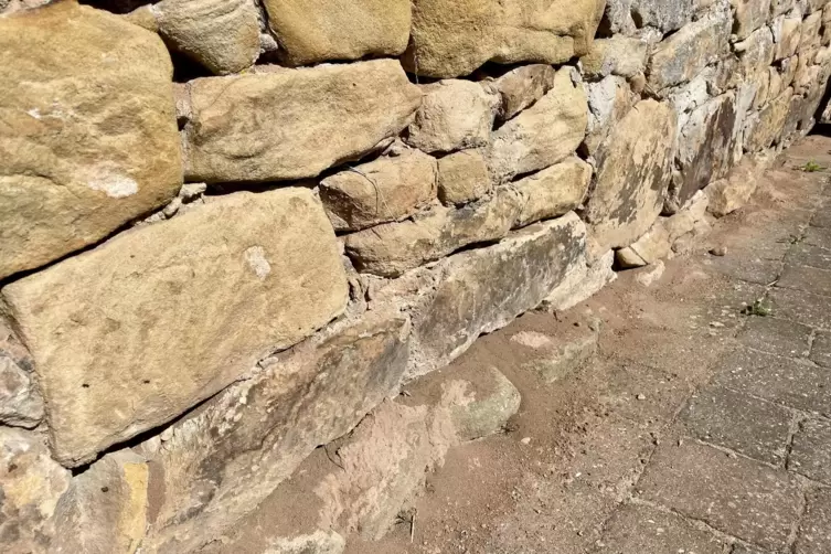 Die Tiere haben schon betr&auml;chtliche Mengen Sand abgetragen. 