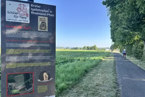 Tafeln am Radweg zwischen Kandel und Minderslachen informieren über Igel. 