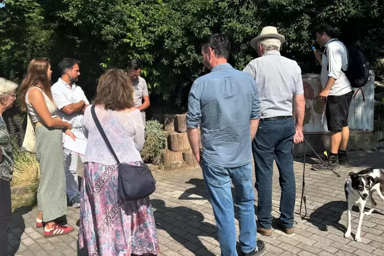 Bei einer vor-Ort-Begehungen waren Vertreter des st&auml;dtischen Umweltamts und Professor Carsten Br&uuml;hl der RPTU dabei. 