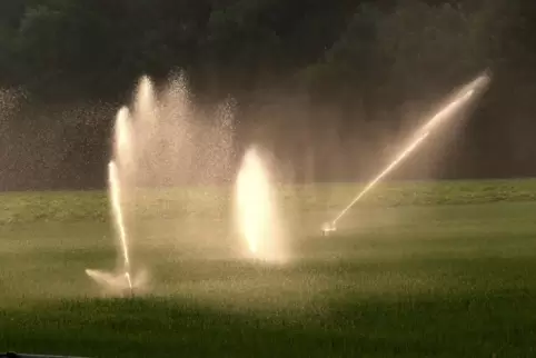 Die Bewässerung in der Vorderpfalz ist auch bei länger anhaltender Trockenheit gesichert. 