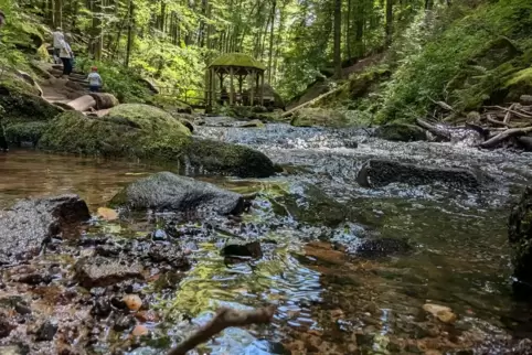 Im Karlstal bei Trippstadt können Hitzegeplagte auch bei hochsommerlichen Temperaturen etwas Abkühlung finden. 