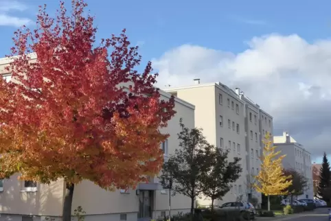 Müssen sich neue Verwaltungspartner suchen: Eigentümer dieser Gebäude in der Eugen-Jäger-Straße nach 50 Jahren in GBS-Zuständigk
