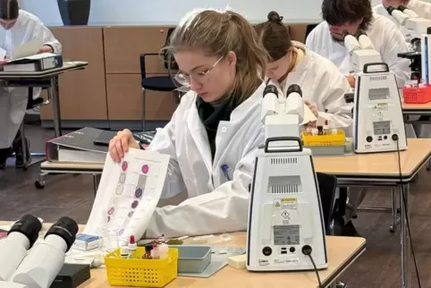 Junge Forscherin: Franziska Maier bei einer praktischen Prüfung innerhalb der Biologie-Olympiade. 