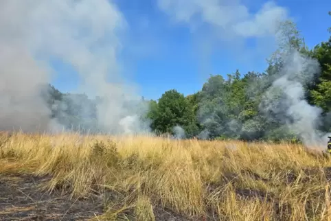 Ein Übergreifen der Flammen auf den Wald kann verhindert werden. 