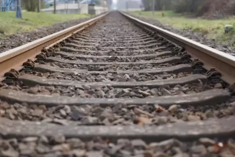 Grund für die Sperrung ist laut der Albtalverkehrsgesellschaft ein Gleisschaden im Bereich Germersheim. 