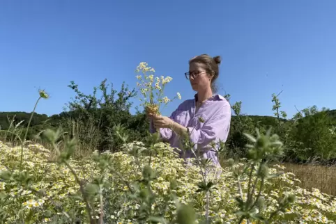 Will so nachhaltig wie möglich arbeiten: Manuela Hettesheimer verzichtet beim Blumenanbau auf Pestizide und ausgiebiges Wässern.