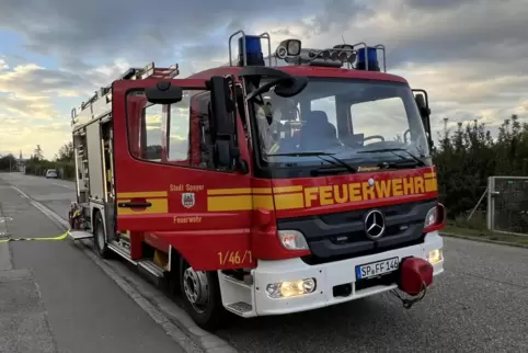 Wasser marsch: Speyerer Feuerwehr im Einsatz bei der Brandbekämpfung. 