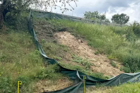 Dachsbauten haben den Bahndamm unterhöhlt.