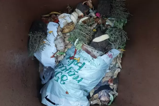 Hier könnte eine Info an den Eigentümer ausreichen: Die Tonne ist mit Biomüll befüllt, allerdings wurde falsches Verpackungsmate Hier könnte eine Info an den Eigentümer ausreichen: Die Tonne ist mit Biomüll befüllt, allerdings wurde falsches Verpackungsmate