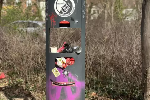Viele Einweg-Verpackungen landen schnell nach Gebrauch im Müll. 