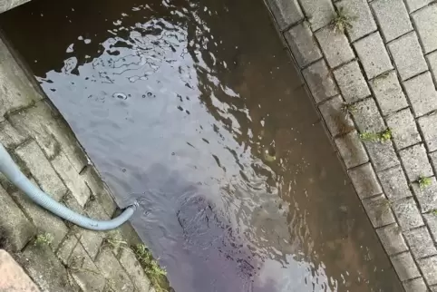 Über einen Schlauch wurde der Wein in den Bach geleitet.