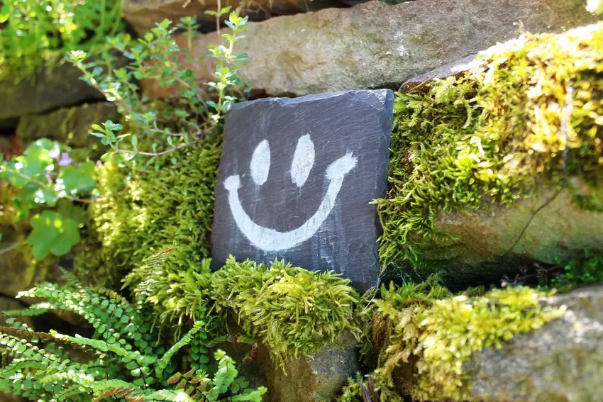 Kleine Akzente statt überspannter Deko: Darauf setzen die Nickels in ihrem Garten.