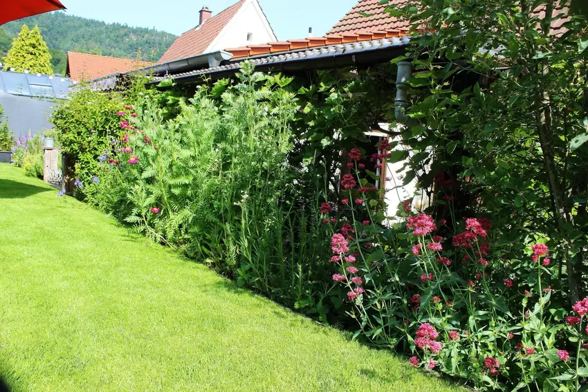 Auch wenn die Rasenkante sehr akkurat ist, muss nicht der ganze Garten penibel aufgeräumt sein, sagt Christian Nickel.