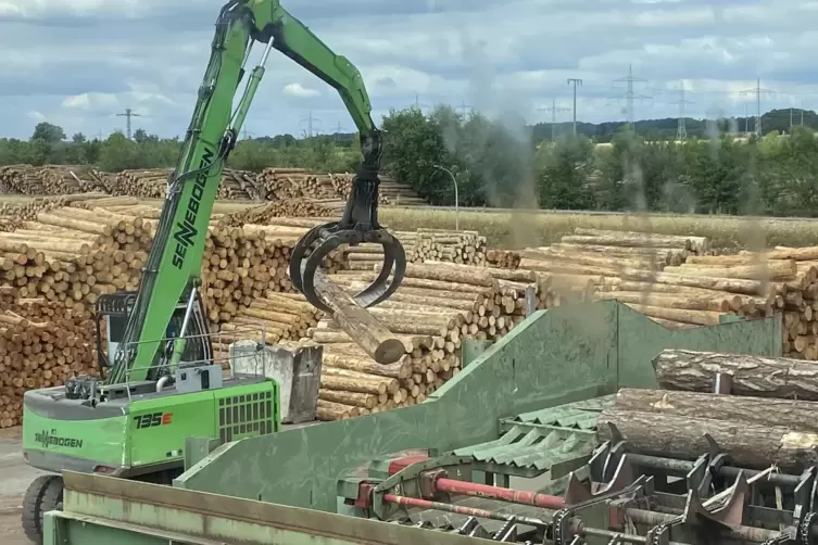 Viel Holz vor der H&uuml;tte: Nahe der Landesstra&szlig;e nach Steinwenden lagern angelieferte Holzst&auml;mme. Aber nicht lange. 