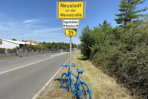 Die Leistung der Neustadter Radfahrer beim Stadtradeln war bisher solide – auch wenn das städtische Ziel von fünf Prozent Beteil