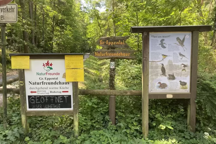 Der Schlangenweiher ist R&uuml;ckzugsort f&uuml;r Flora und Fauna und Teil verschiedener Wanderungen durch den Pf&auml;lzerwald.