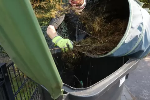 Grünschnitt darf in die Biotonne, Plastik natürlich nicht. Grünschnitt darf in die Biotonne, Plastik natürlich nicht.