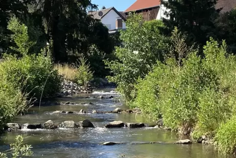 Vor vier Jahren gebaut: Die Fischtreppe an der Morschmühle verbindet Altwiesengraben und Woogbach.