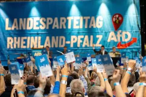 Rund 3300 Mitglieder hat die AfD in Rheinland-Pfalz – hier ein Bild vom Landesparteitag Mitte Juni in Idar-Oberstein. Rund 3300 Mitglieder hat die AfD in Rheinland-Pfalz – hier ein Bild vom Landesparteitag Mitte Juni in Idar-Oberstein.