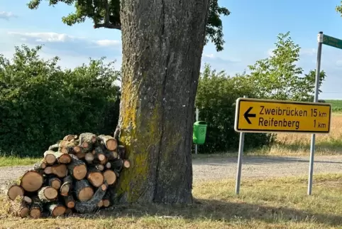 Mehrere dicke Äste am Lindenbäumchen wurden abgeschnitten. 