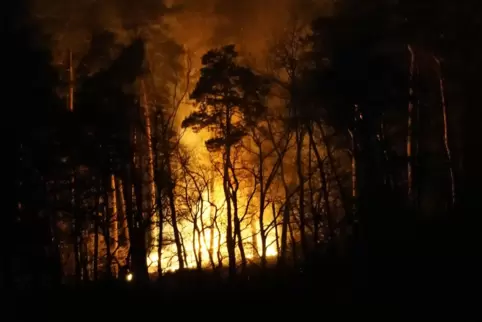 Im März steht der Wald oberhalb von Bad Bergzabern in Flammen. 
