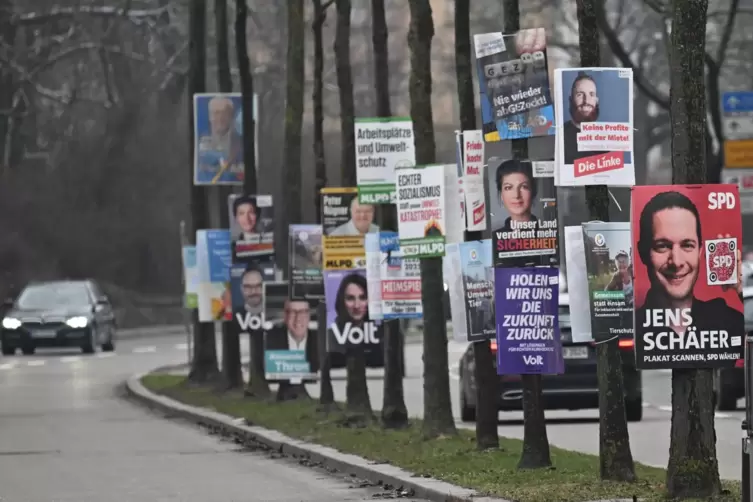 Plakate an Bäumen aufhängen, wie hier in Heilbronn: Das ist in Frankenthal nicht erlaubt. Nicht immer halten Parteien sich jedoc