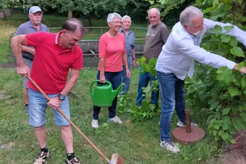 Überwiegend ältere Mitglieder sind bei den Arbeitseinsätzen auf dem Gelände des Obst- und Gartenbauverein Rodenbach im Einsatz.