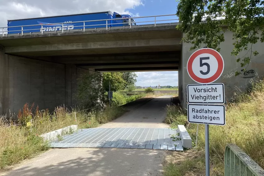 An der Gemarkungsgrenze sollen Zäune und ein Viehgitter verhindern, dass mit der Schweinepest infizierte Wildscheine umherwander
