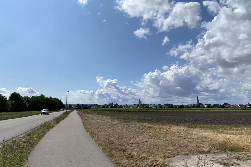 Der Weg führt ein Stück an der Straße entlang. Im Hintergrund ragt der Lambsheimer Kirchturm aus der Dorfsilhouette heraus.
