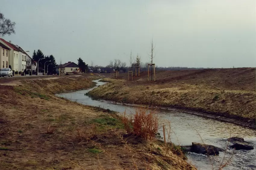 Ganz am Anfang war der Blick frei auf den Bach. Für die Renaturierung hatte erst einmal gerodet werden müssen. Im Vordergrund di