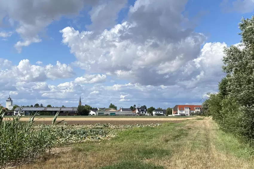 Blick auf Lambsheim – diesmal von Süden, vom renaturierten Bachlauf aus.