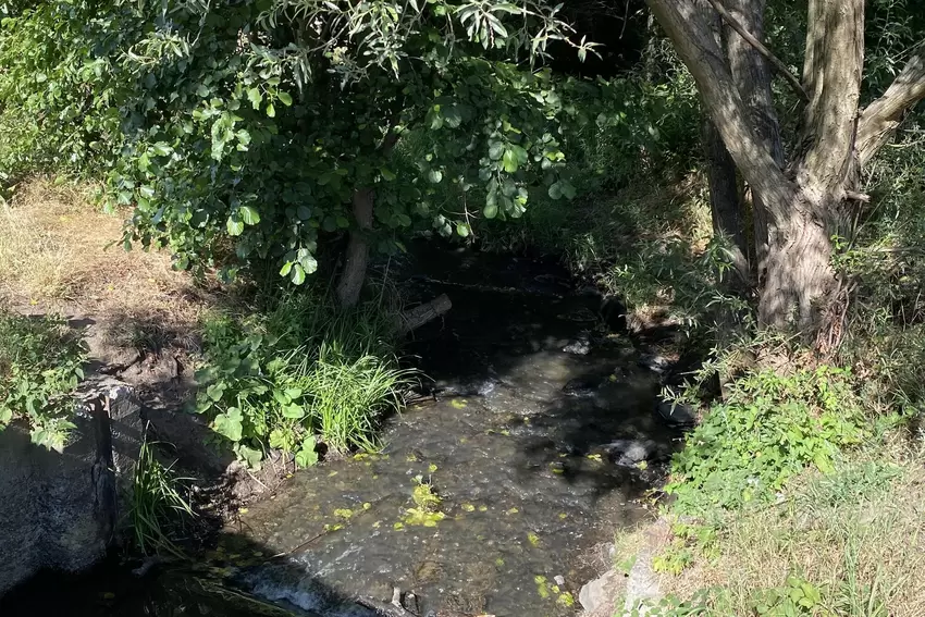 So sieht der Bach an der Isenachbrücke aus.