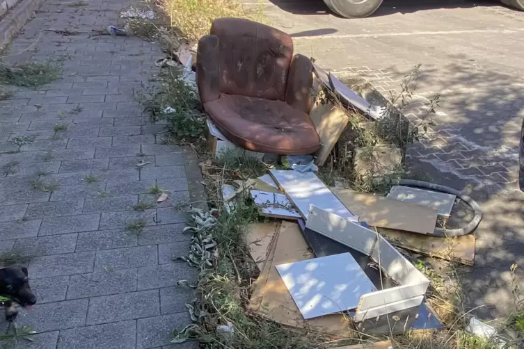 Bis Ende 2024 standen hinter dem alten Bahnhof in Kirchheimbolanden Container. Im Umfeld legten einige Menschen illegal Sperrm&uuml;l