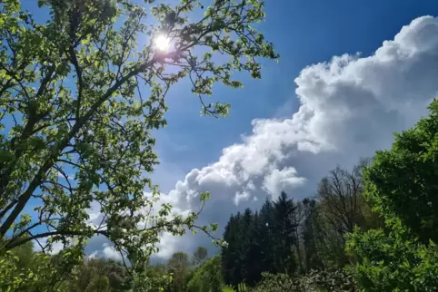 Zunächst behalten Wolken und Schauer noch die Oberhand, aber bereits am Wochenende kann sich die Sonne öfter in Szene setzen. Mi