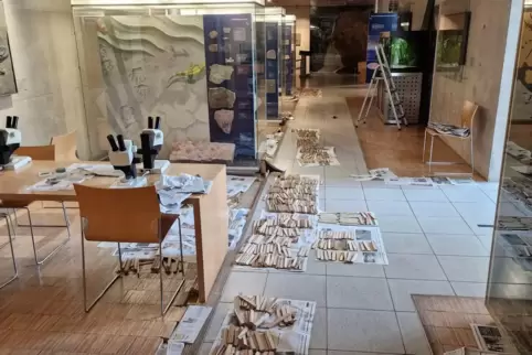 Stäbchenpuzzle: Das Parkett ist stark beschädigt. 