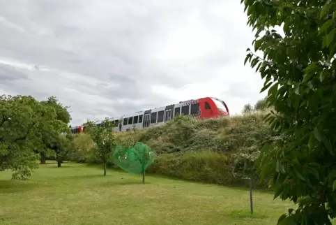 Ein Zug auf dem Weg Richtung Grünstadt: Auch im Bahndamm in Freinsheim hat sich der Dachs eingenistet. 