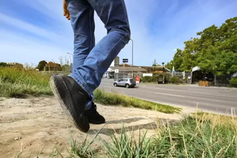 Rheindeich in der Franz-Kirrmeier-Straße gegenüber von Gewerbe- und Industriehof: kein Gras mehr auf dem Trampelpfad. 