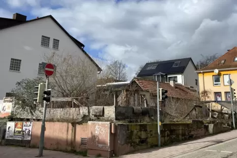 Die Fläche ist verwildert und vermüllt. Seit Jahren wird sie in Kandel als „der Schandfleck“ bezeichnet. Unser Bild stammt von A