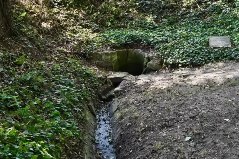 Die eingefasste Quelle des Queckbrunnens (im Hintergrund), von der ein kleiner Wasserlauf in einen Teich führt. 