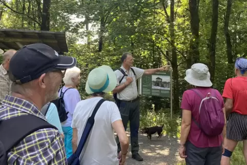 Förster Martin Teuber erklärt den Teilnehmern, mit welchen Problemen die Bäume zu kämpfen haben.