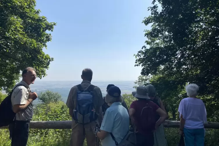 Von der Hirtenfelsh&uuml;tte aus kann man Kirchheimbolanden, Marnheim und das Zellertal entdecken.