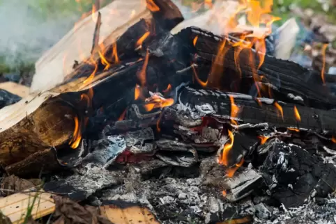 Lagerfeuer im Wald zu machen, ist streng verboten. 