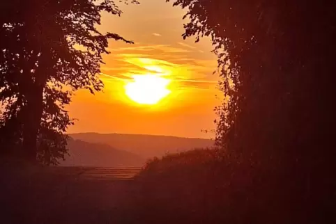 Bei einem abendlichen Spaziergang am Galgenberg ist Alexander Müller aus Zweibrücken diese stimmungsvolle Landschaftsaufnahme ge Bei einem abendlichen Spaziergang am Galgenberg ist Alexander Müller aus Zweibrücken diese stimmungsvolle Landschaftsaufnahme ge
