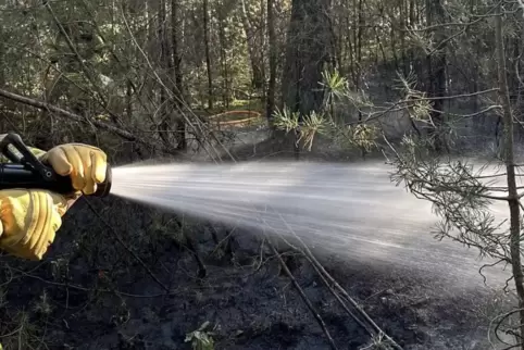 Brand bei der Iggelheimer Straße: Löscheinsatz erforderlich. 