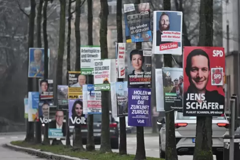 Optische Plage: Wahlplakate – hier in Heilbronn – können ganz schön nervig sein.